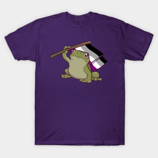 Asexual Pride Flag-Holding Frog T-Shirt